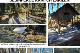 dezinfekce